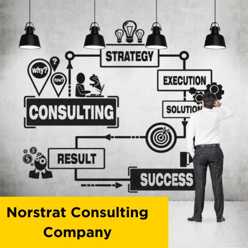 What Does Norstrat Consulting Company Do For Your Business
