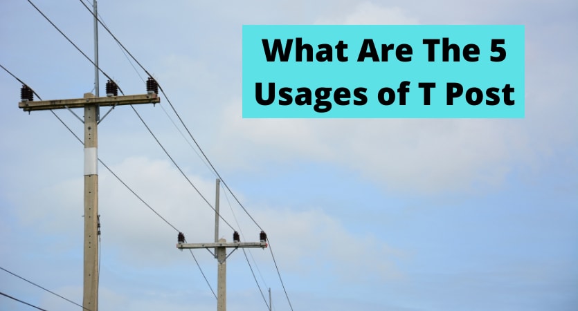 What Are The 5 Usages of T Post