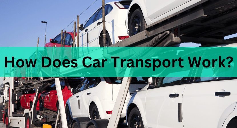 How Does Car Transport Work